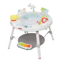 Activity Chair for babies