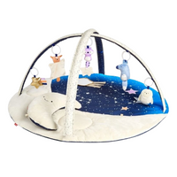 Grey baby activity gym clearance