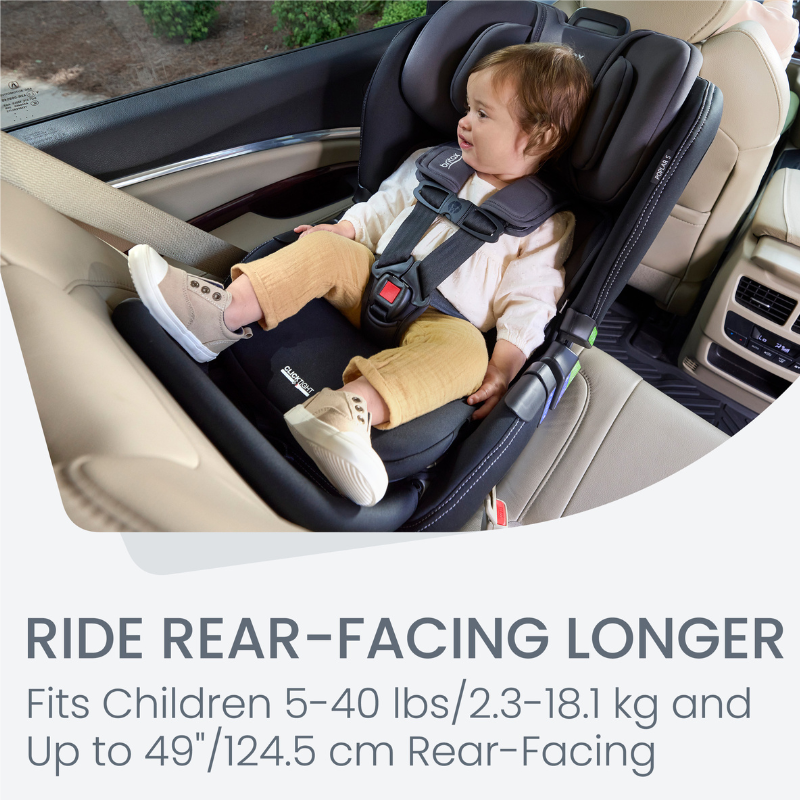 Poplar S Convertible Car Seat