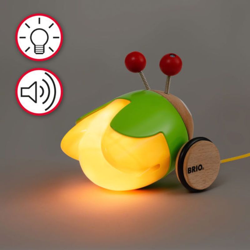 Play & Learn Pull-Along Light Up Firefly