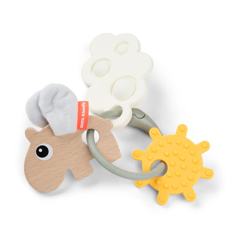 Happy Clouds Sensory Activity Ring