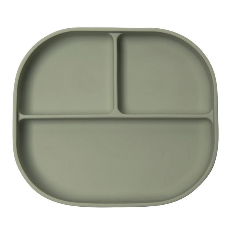 Divided Plate With Lid Sage