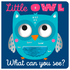 Little Owl What Can You See? Board Book