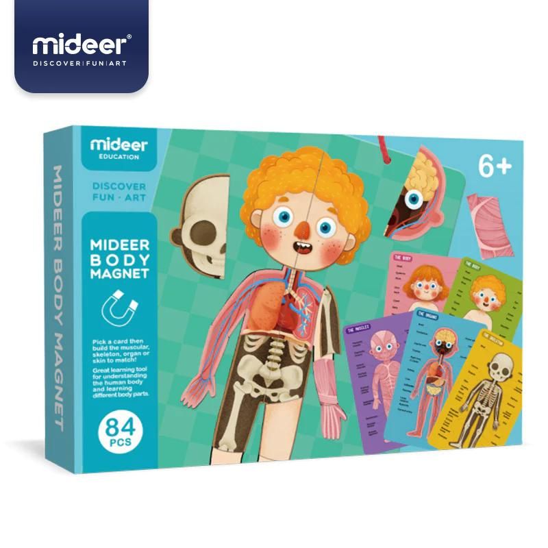 Mideer Body Magnets