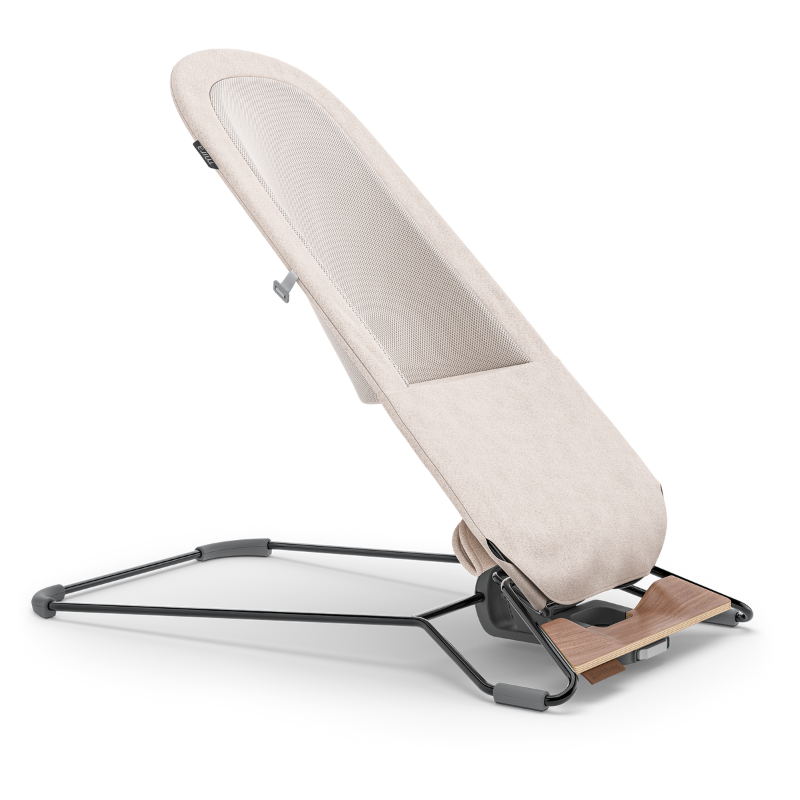 Mira 2-in-1 Bouncer and Seat