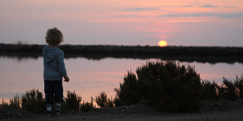 Little boy by lake at sunset