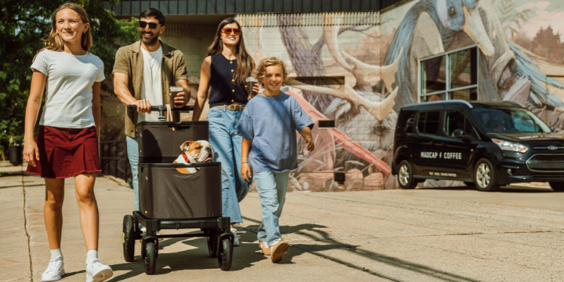 Veer Hauler Wagon Review