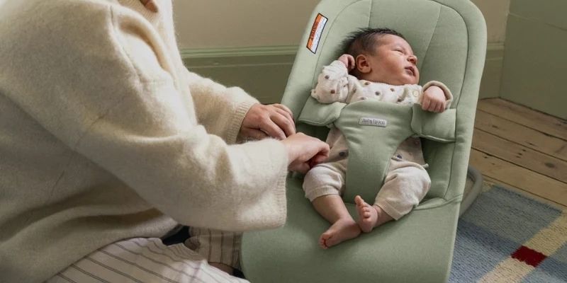 BabyBjörn Bouncer Begin Review