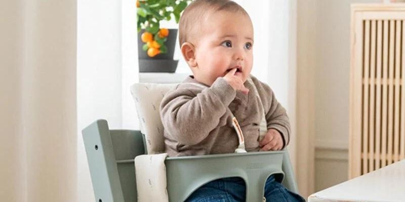 Best High Chairs of 2026
