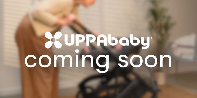 UPPAbaby MESA V3 Infant Car Seat