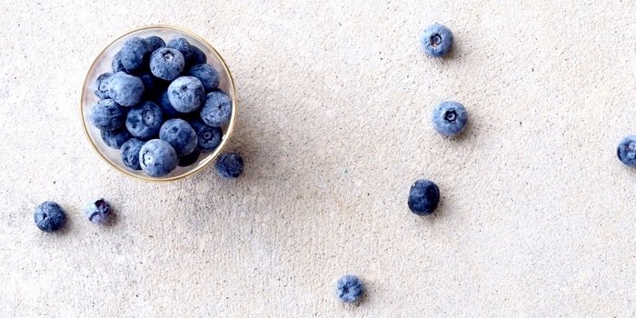 Blueberries in a bowl
