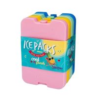 A pack of icepacks