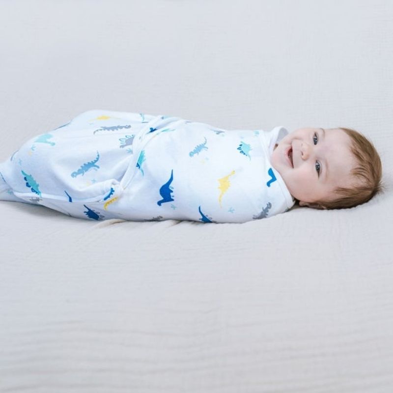 Dino swaddle cheap