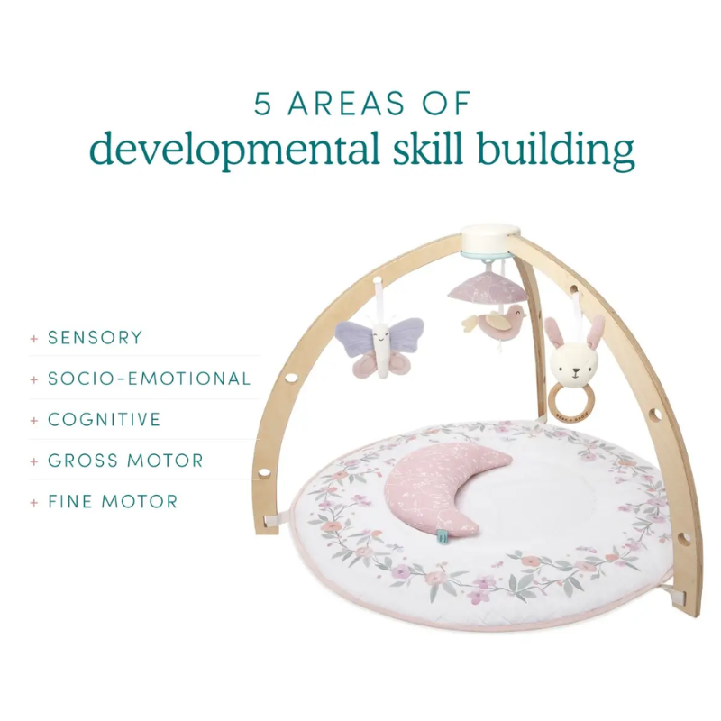 Rising Star Activity Gym