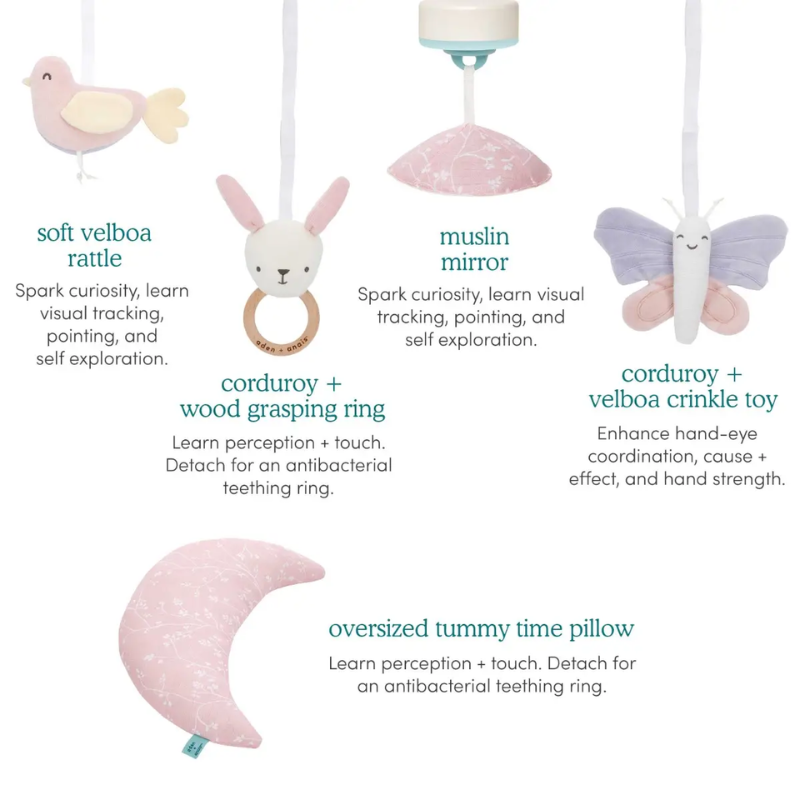 Rising Star Activity Gym