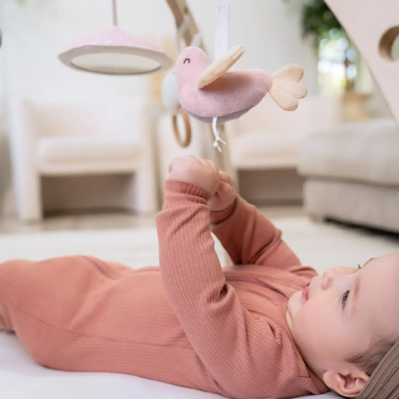 Rising Star Activity Gym