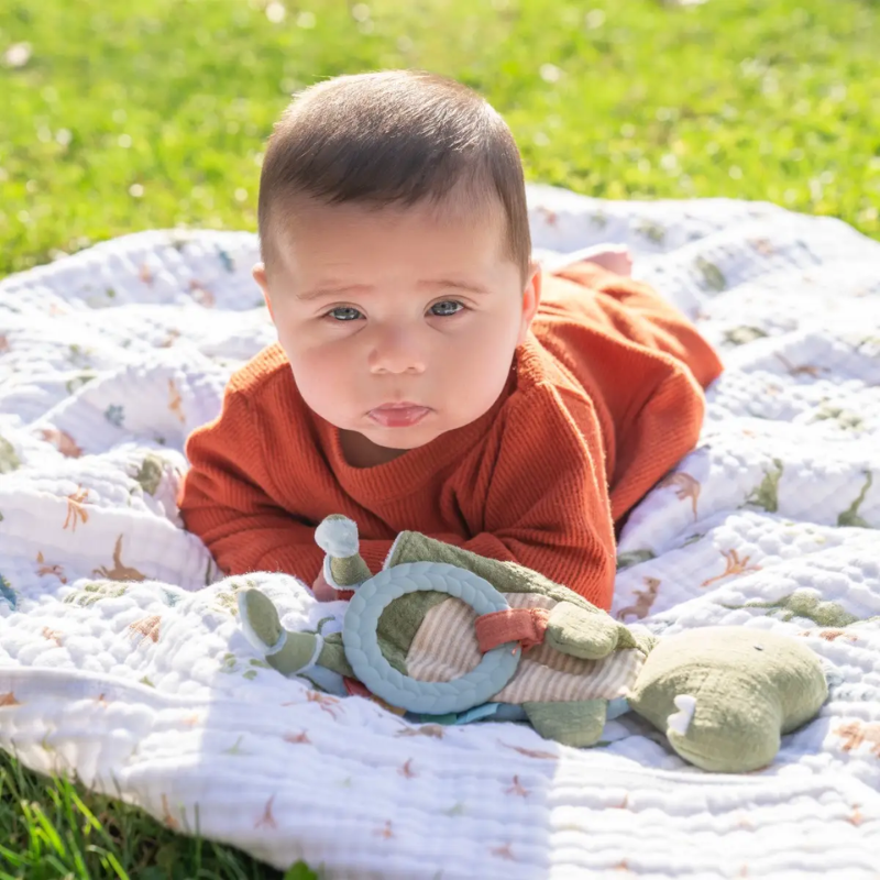 Cotton Muslin Dream Blankets