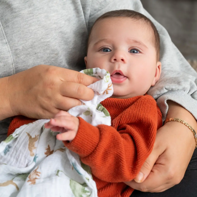 Cotton Muslin Swaddles - 4 Pack