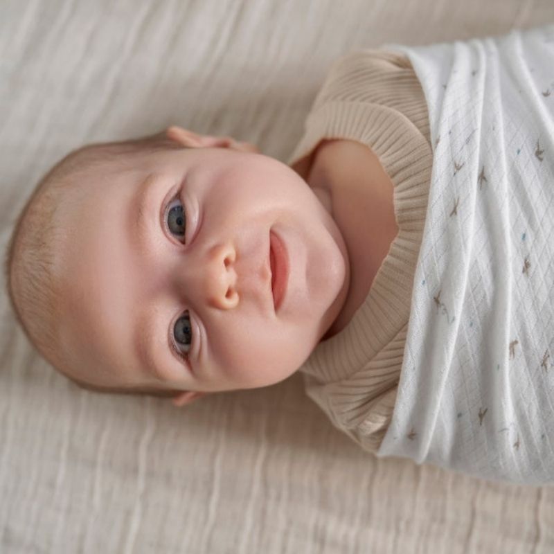 Essentials Silky Soft Muslin Swaddle - 2 Pack Healing Nature