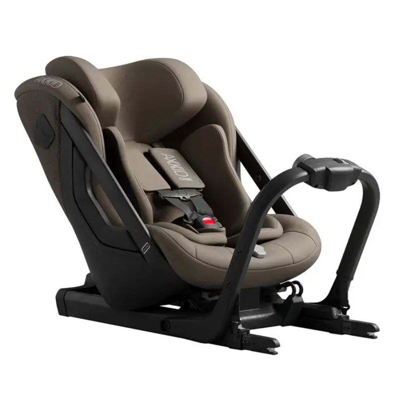 One 3 Rear Facing Car Seat