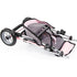 Duo Twin 3 Wheeled Doll's Stroller - Butterfly