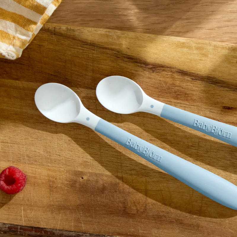 Feeding Spoon - 2-pack