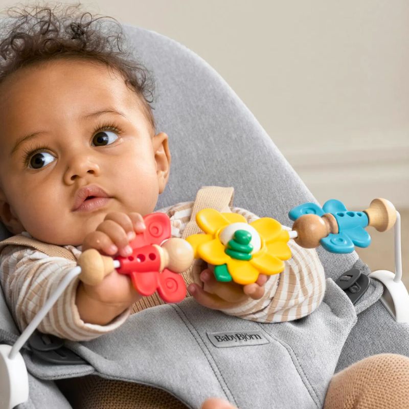 Bouncer Bundle with Flying Friends Toy