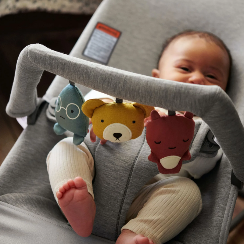 Bouncer Bundle with Soft Friends Toy