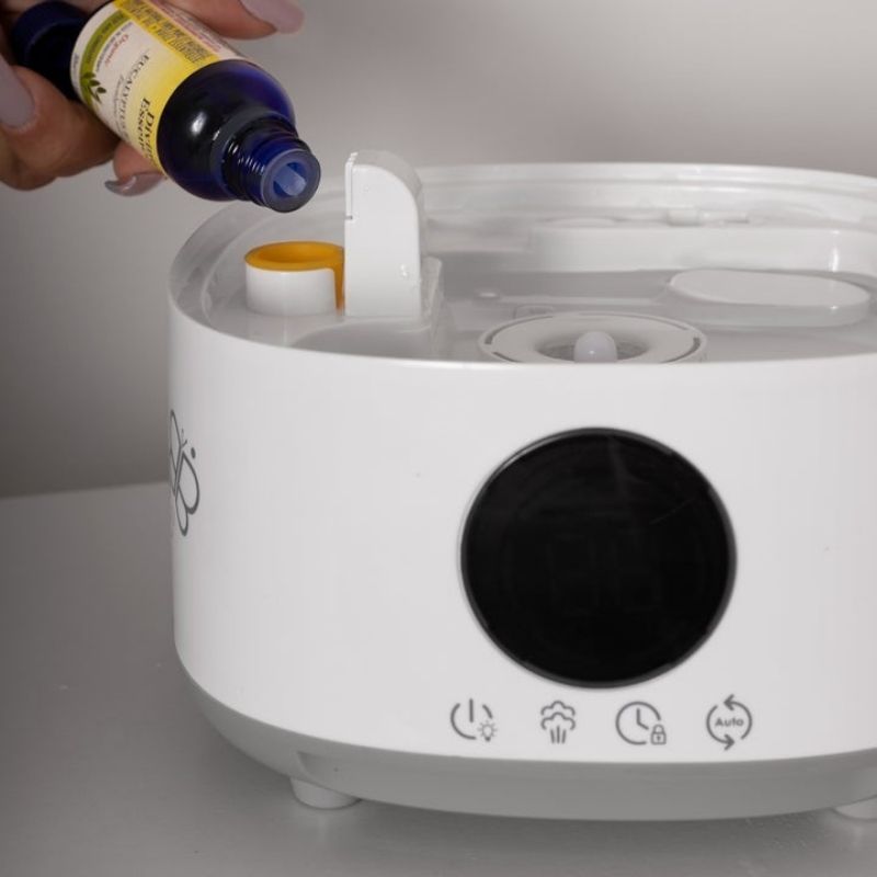 Ultrasonic store air cleaner