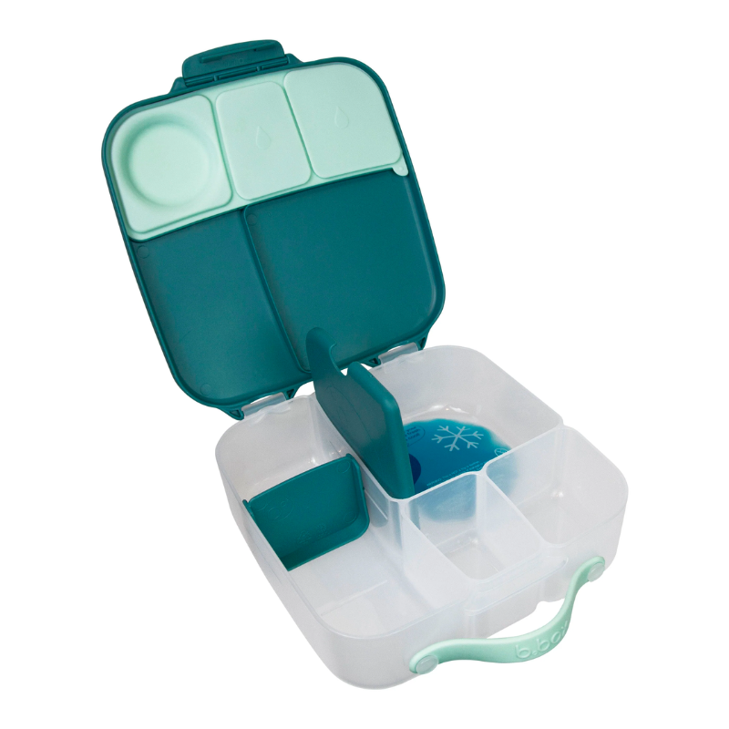 Lunchbox Emerald Forest