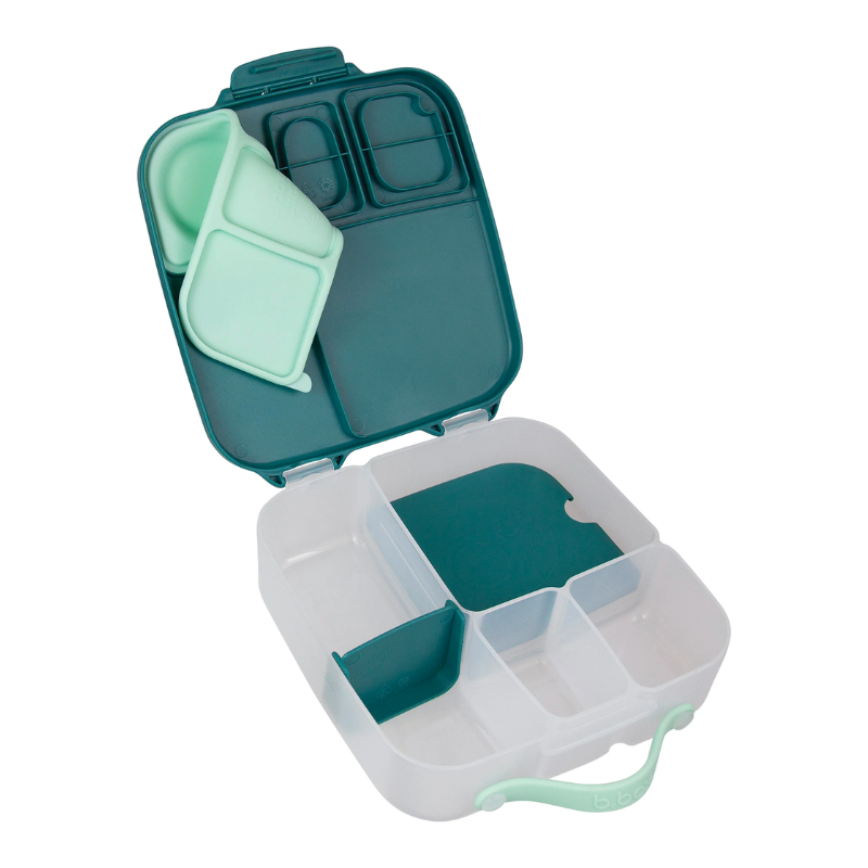 Lunchbox Emerald Forest