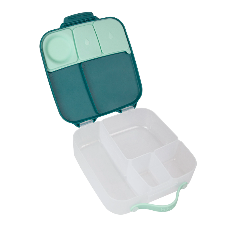 Lunchbox Emerald Forest