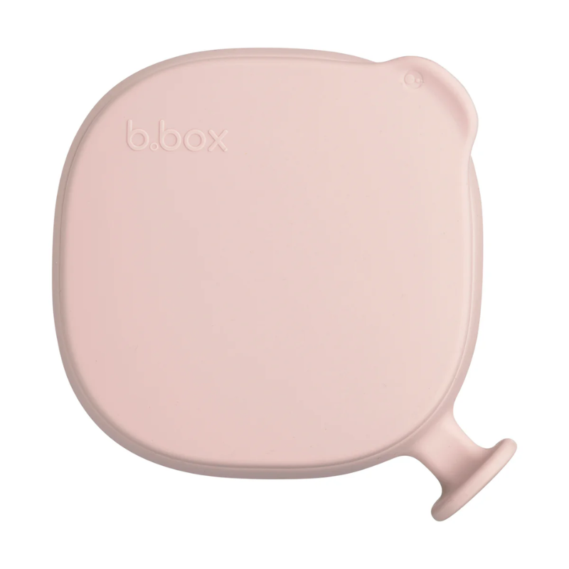 Silicone Bowl and Lid