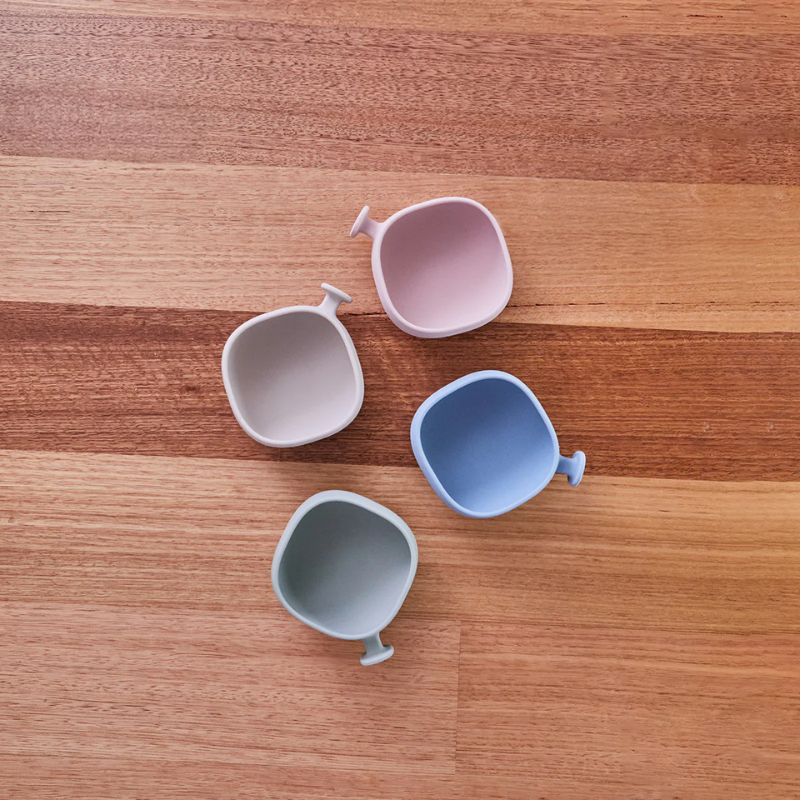 Silicone Bowl and Lid