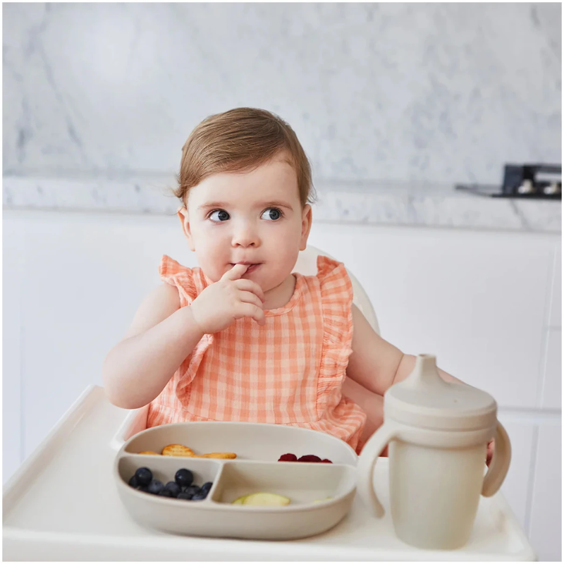 Silicone Suction Plate and Lid