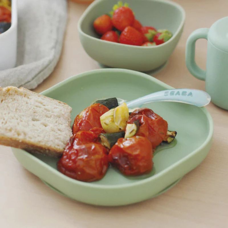 Silicone Suction Plate
