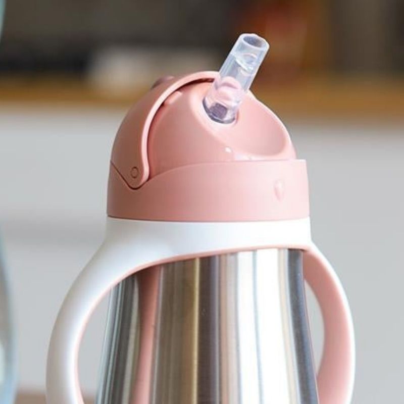 Sippy Learning Cups Stainless Steel