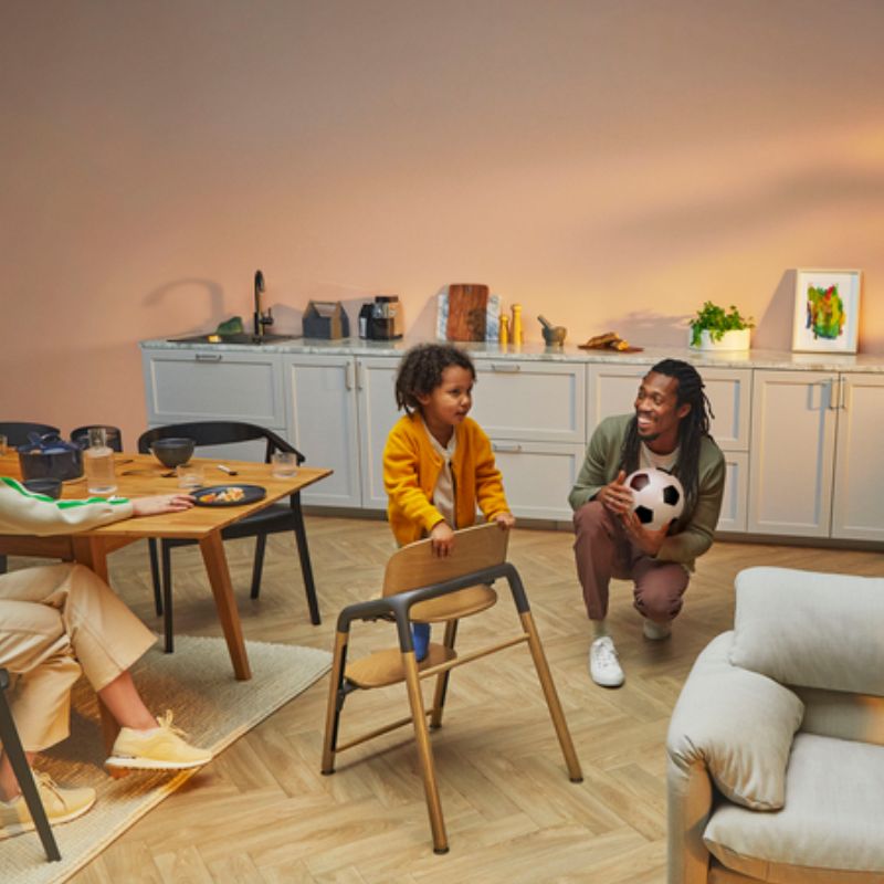 Giraffe Complete High Chair Set