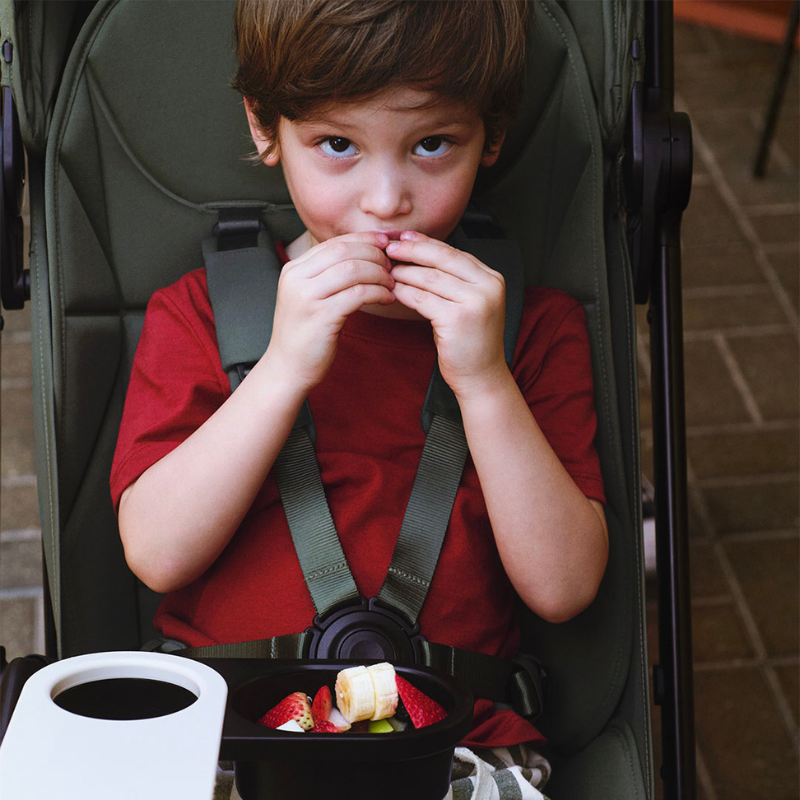 Butterfly 2 Compact Stroller