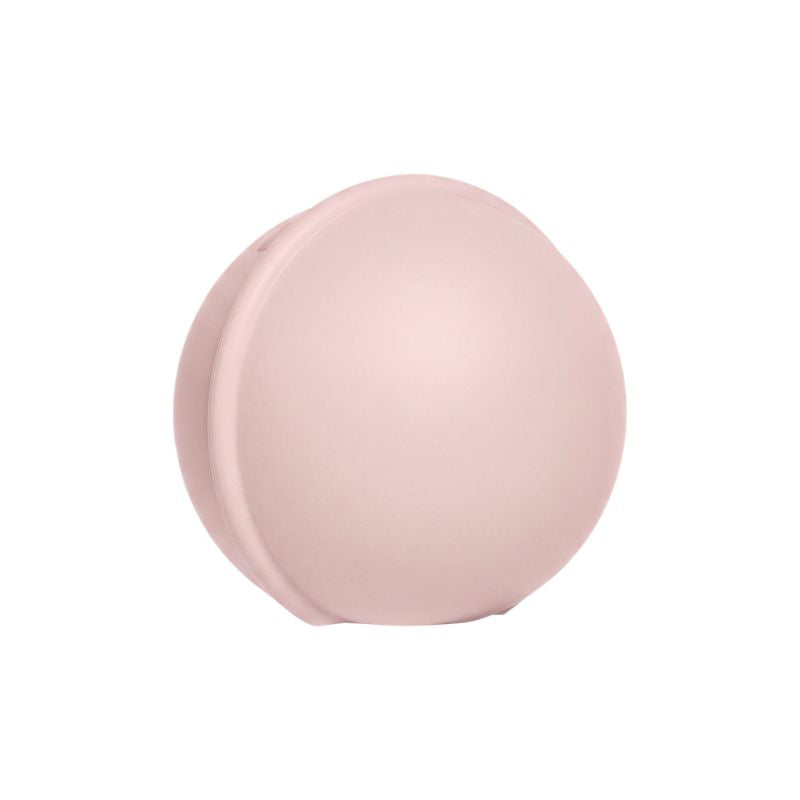 Pacifier Case Mini