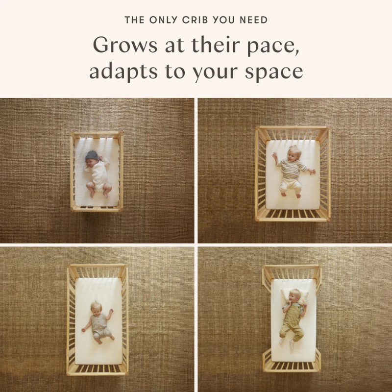 Pogo 8-in-1 Convertible All-Stages Crib