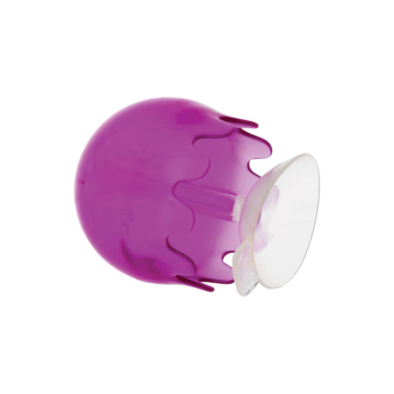 Jellies Suction Cup Bath Toys