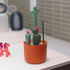 Bottle Cleaning Brush Set  Cactus/Brown