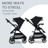 Brook+ Modular Stroller