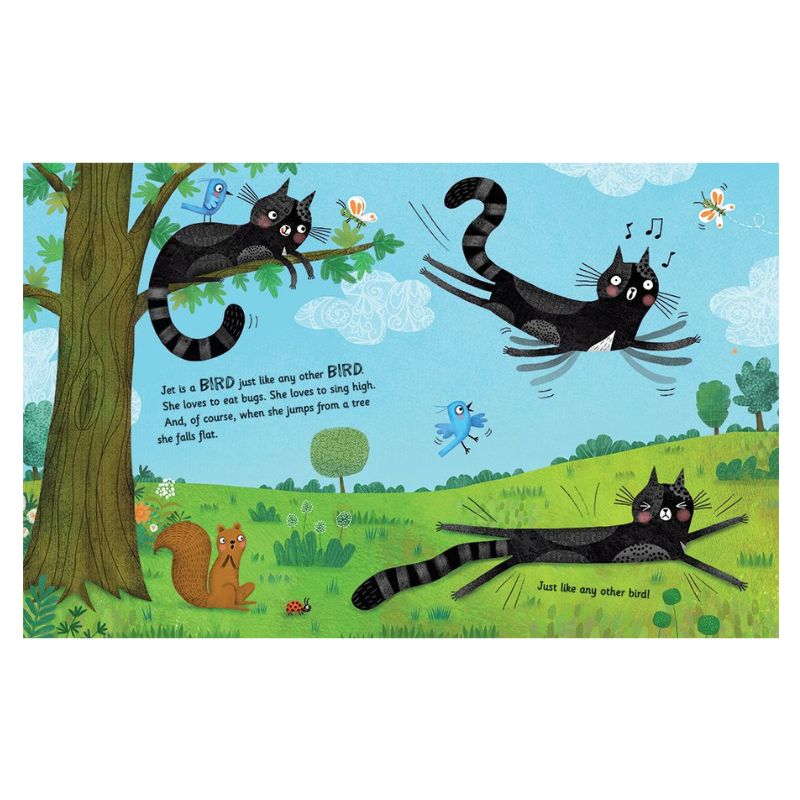 Jet the Cat (Is Not a Cat) - Paperback Book