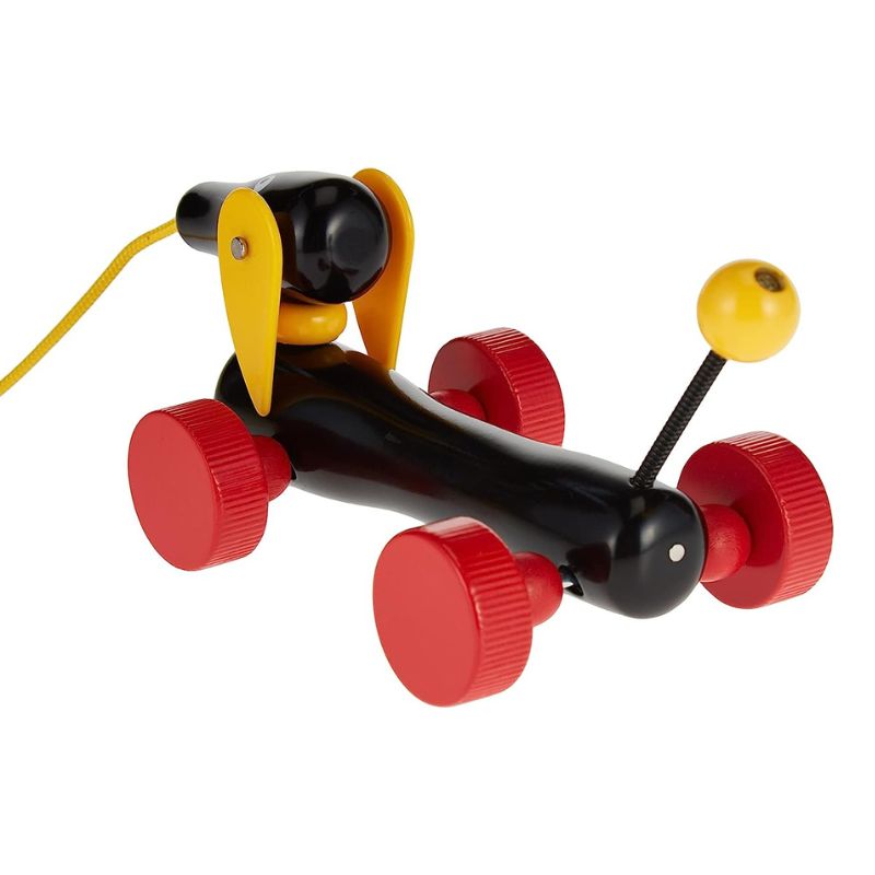 Brio ride 2024 on dachshund