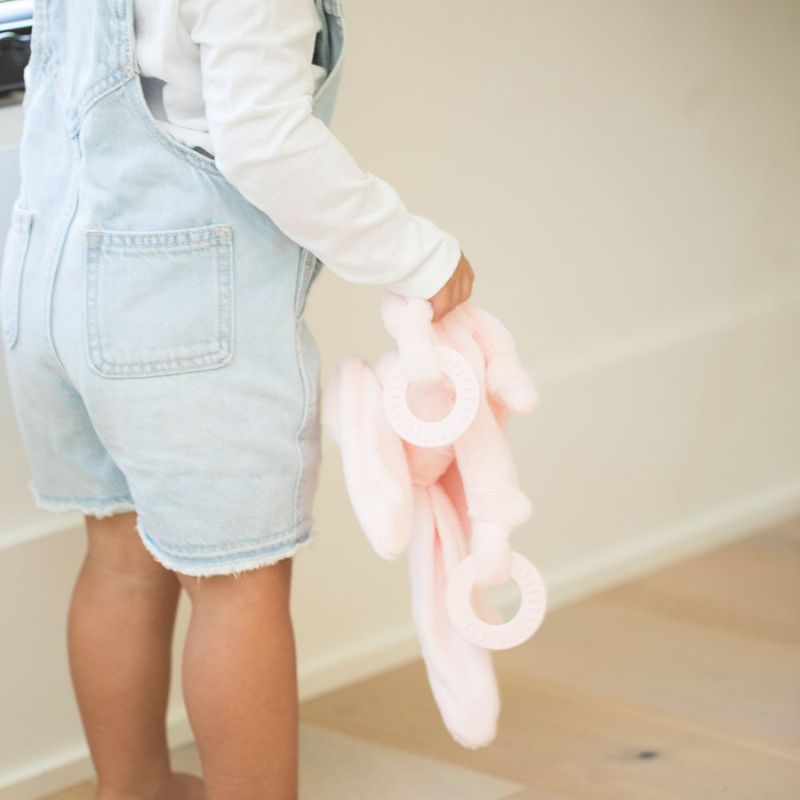 Teether Buddy Bunny