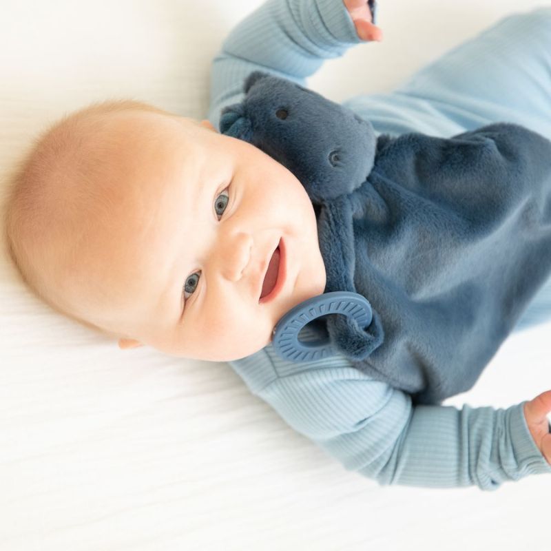Teether Buddy Hippo