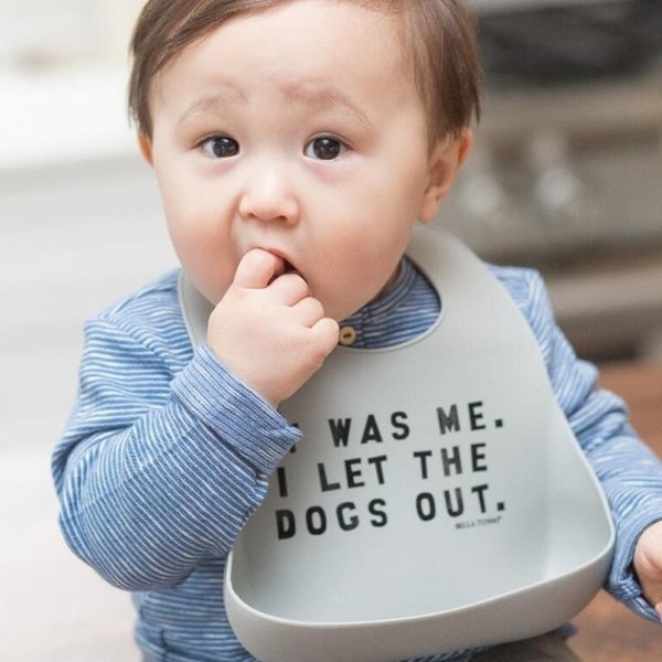 Wonder Bibs I Let The Dogs Out