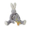 Silly Buddy Pacifier  Bloom Bunny